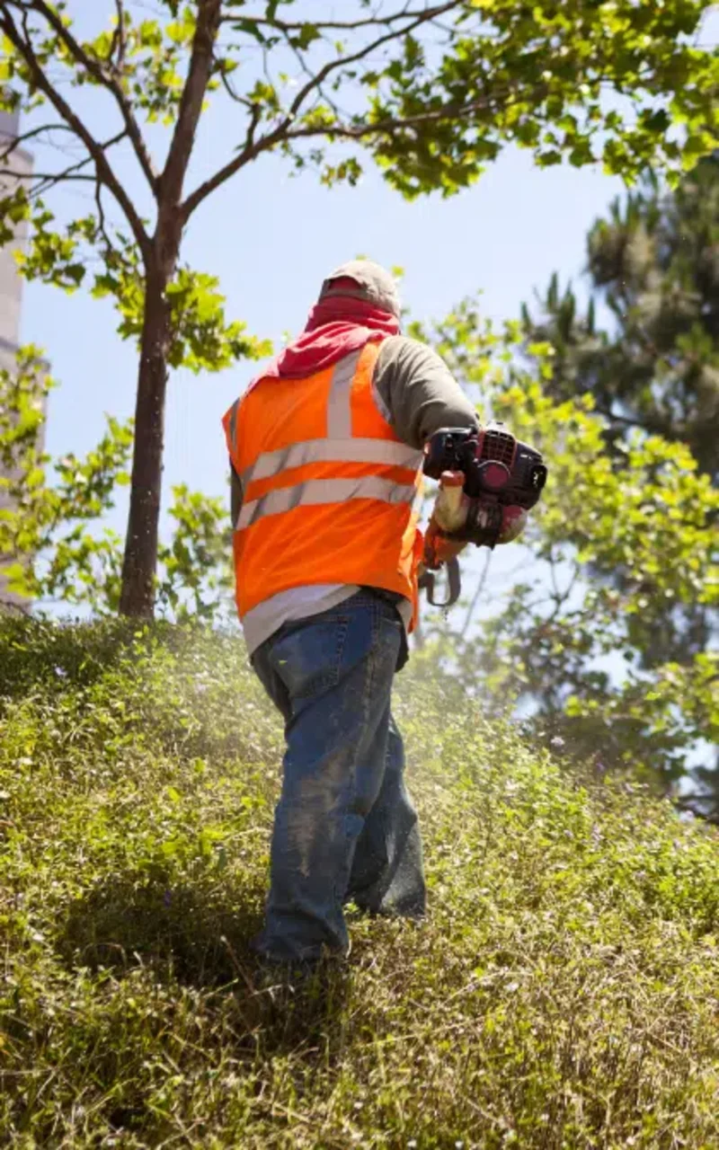 Workers compensation legal assistance